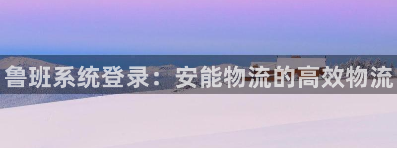 28圈加拿大真假怎么看：鲁班系统登录