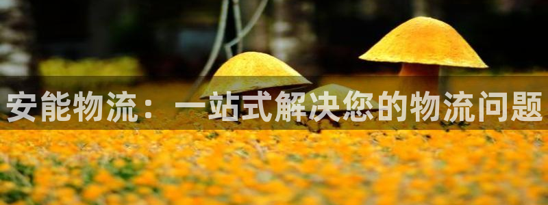 28圈激活码：安能物流：一站式解决您