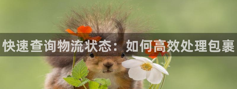 28圈口：快速查询物流状态：如何高效